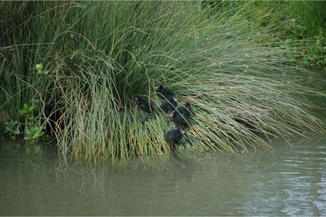 Photo 25