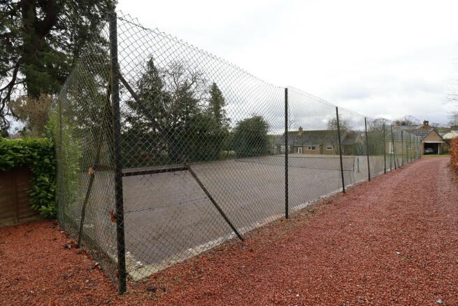 Photo 11