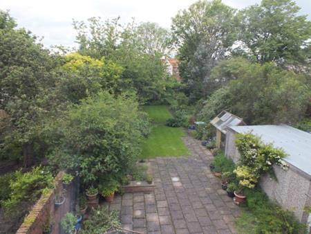 Photo 38