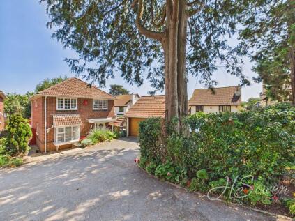 Cecil Avenue, Paignton