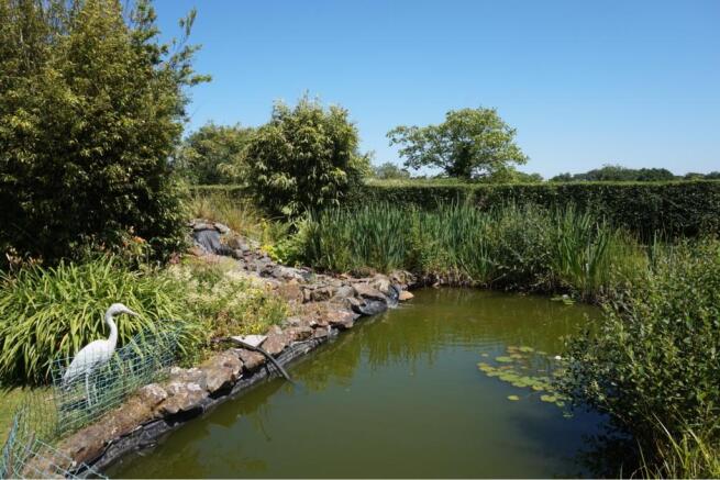 Pond