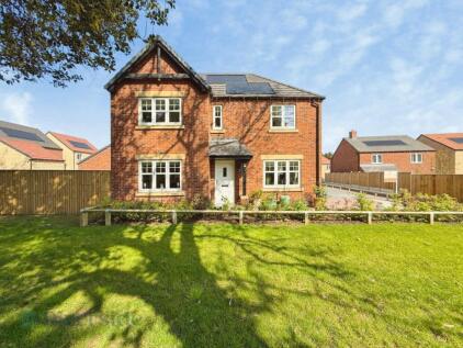 Mulberry Grove, Willerby