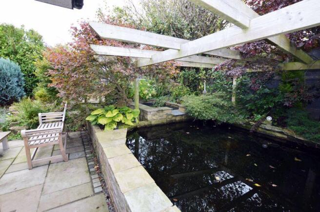 KOI POOL