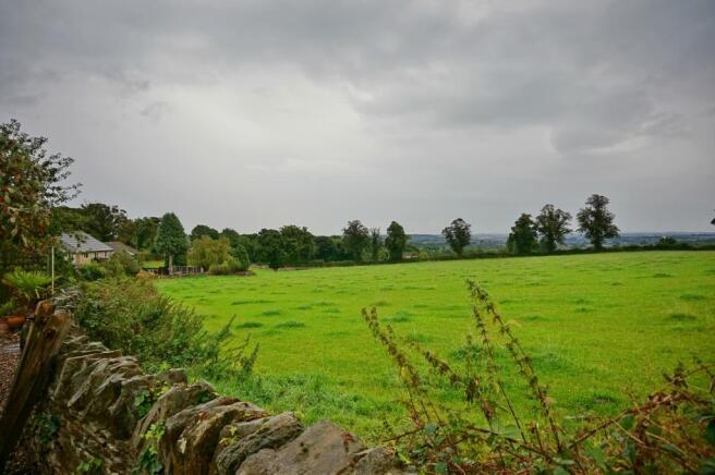 Open field