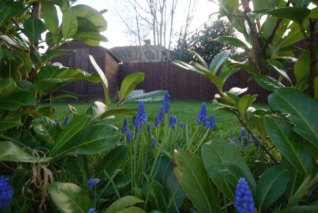 Photo 23