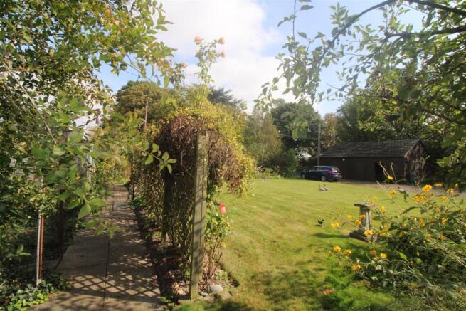 Back garden
