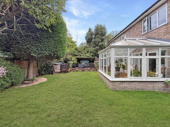 Back Garden