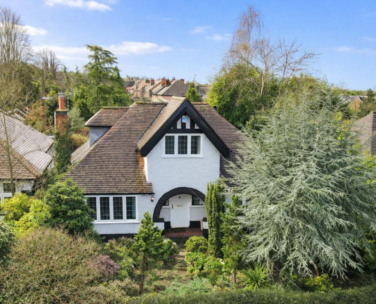 9d44d3a3-9e09-4a5f-b49c-57e2272d35a5 copy.png