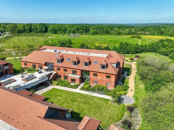 Angelica Rear LR.jpg