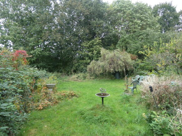 Photo 13