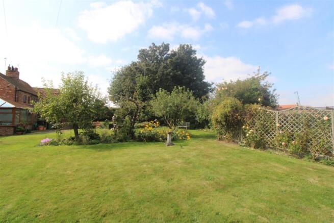 Back Garden