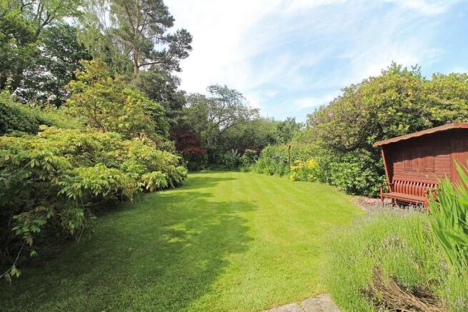 South Facing Garden