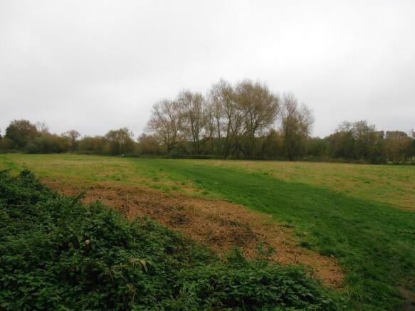 Meadow