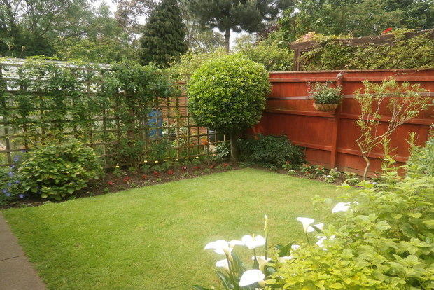 Photo 11