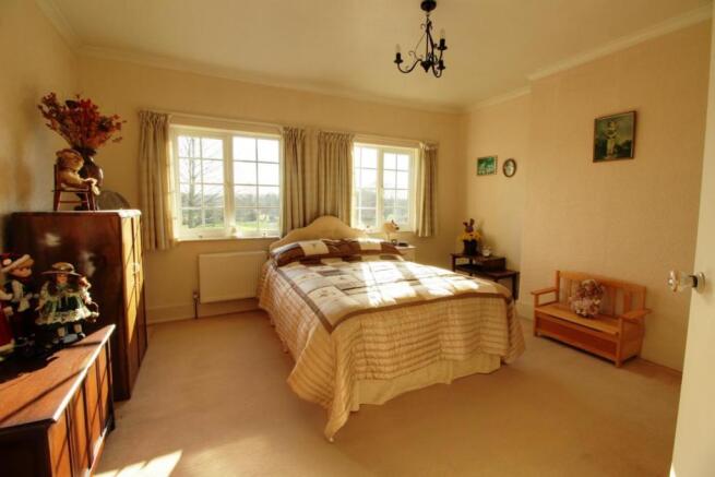 Picture 8