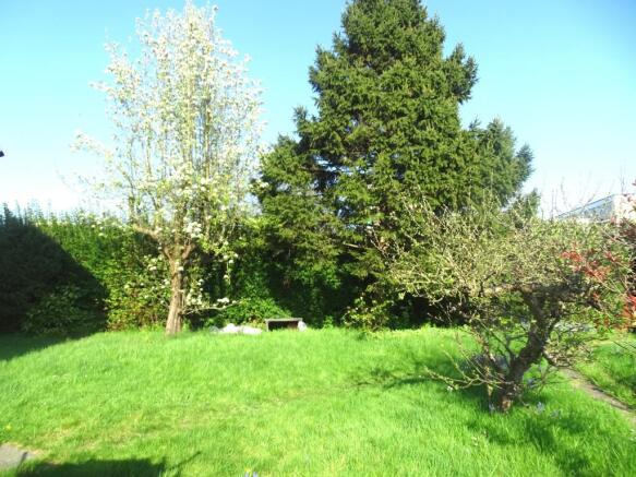 Rear garden
