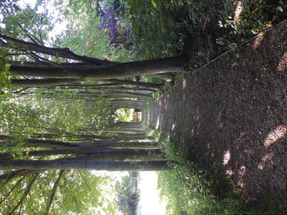 Photo 32