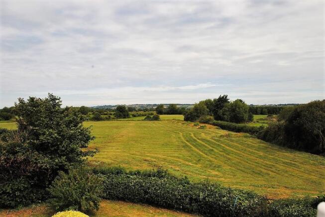 Field
