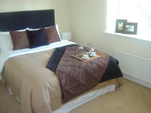 ** Typical Interior