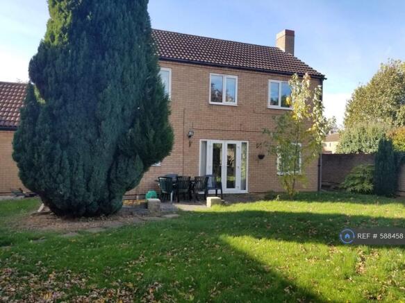 Back Garden