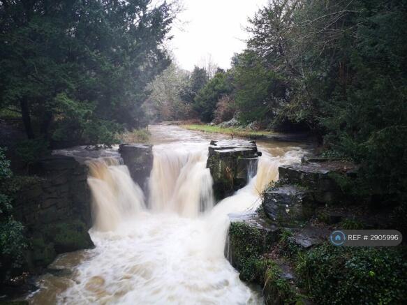 Jesmond Dene