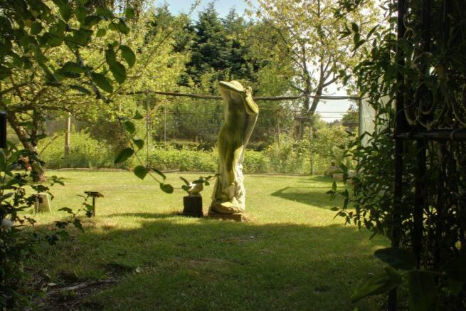 Garden at Back