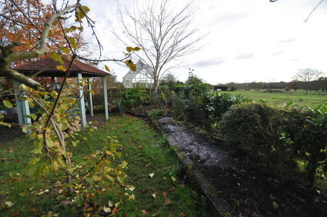 Photo 24