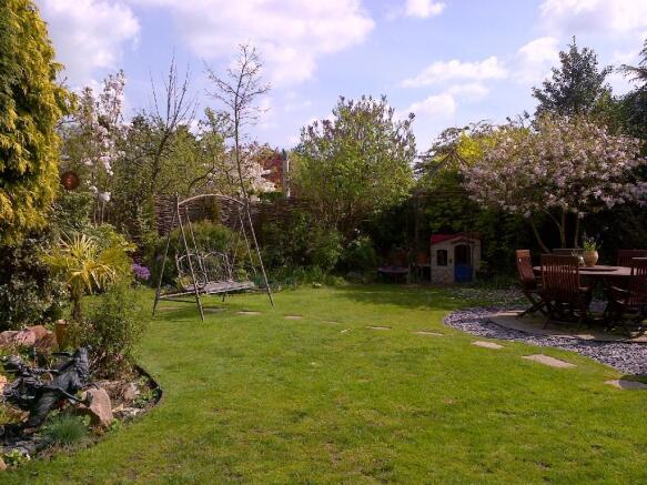 Photo 11
