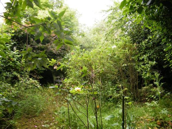 garden1.JPG