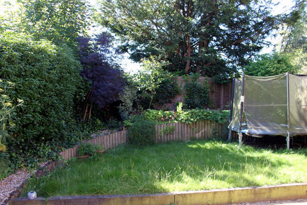 Photo 5