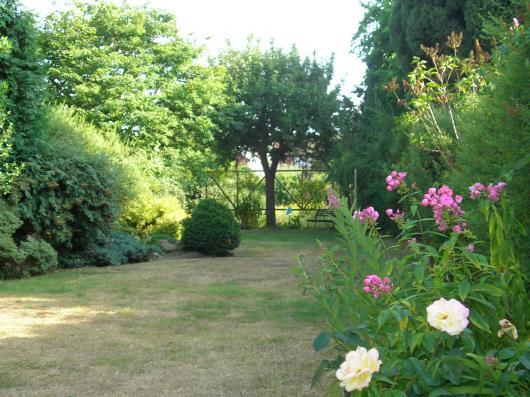 Rear Gardens