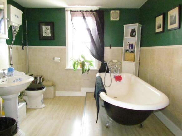 Photo 7