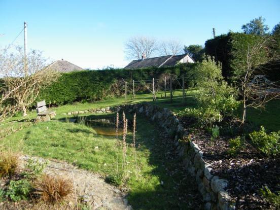 Wildlife Pond