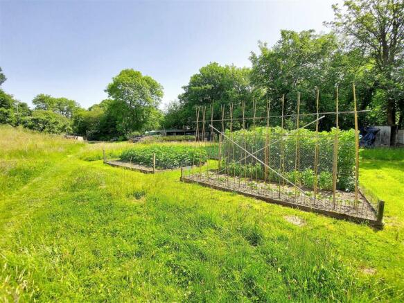 Veg Plot