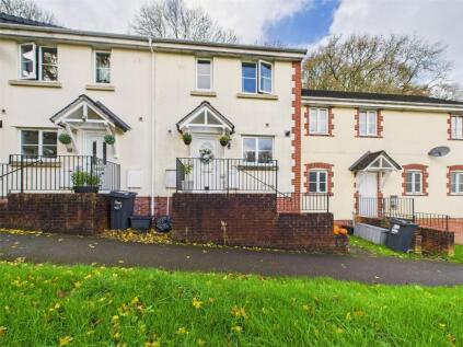 Kensey Valley Meadow, Launceston, Cornwall, PL15