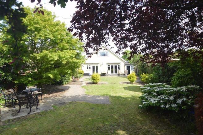Established Rear Garden