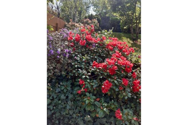 Photo 37