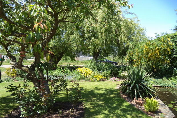Photo 5
