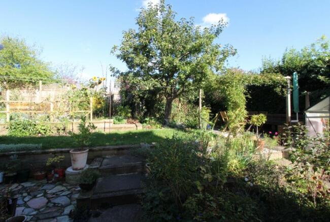 Photo 16