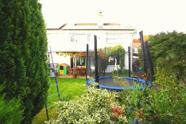 Garden 2