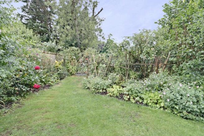 Garden at Back