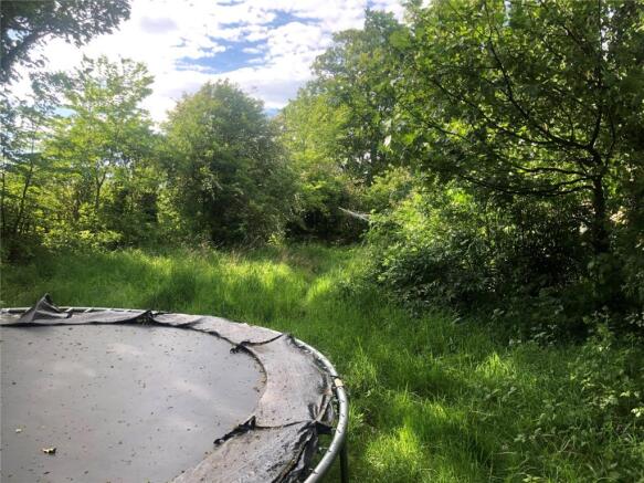Site