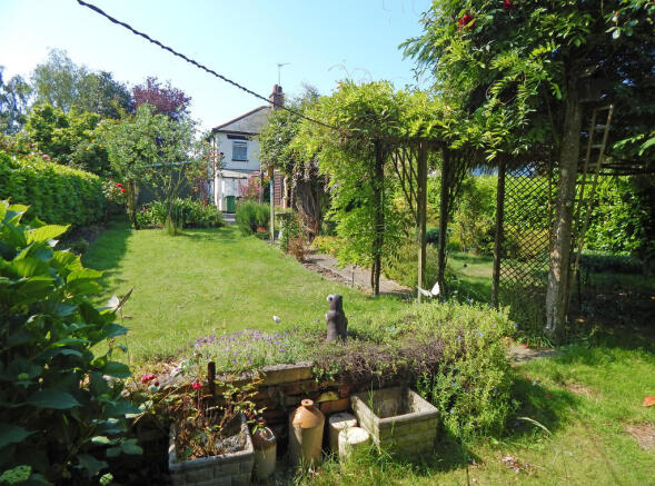 garden1