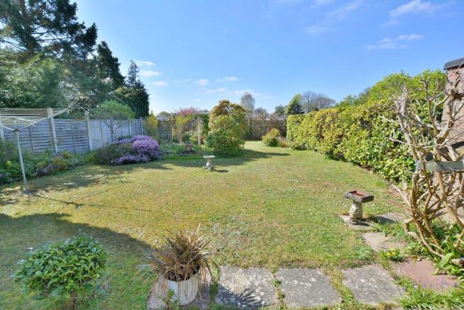 Rear garden