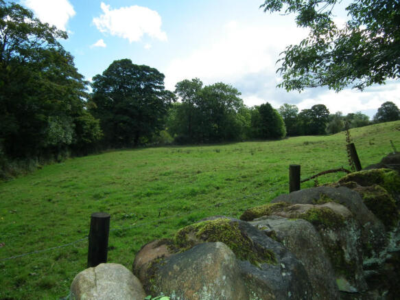 View over Adjacent Field