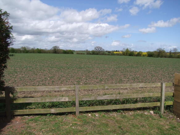 view from garden