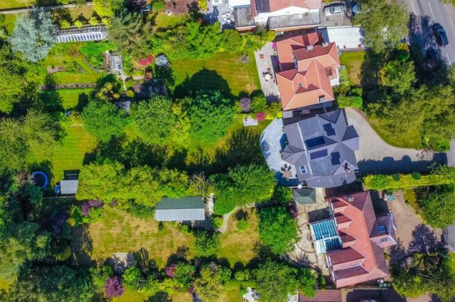 dji_fly_20230707_104656_190_1688723339647_photo_op