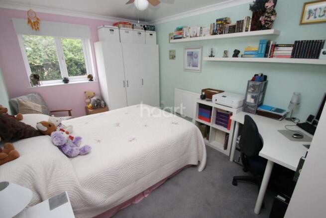 Photo 5
