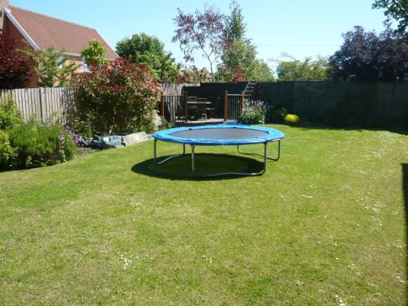 back garden