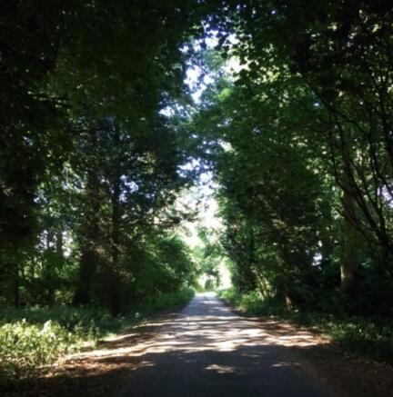 Approach Road to the Property